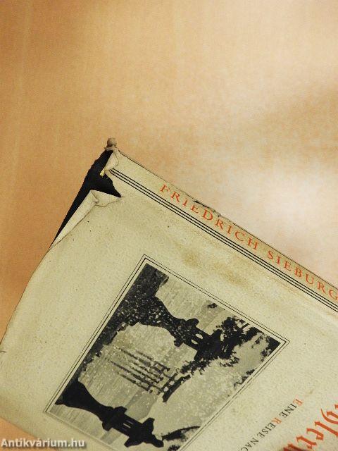 Die stählerne Blume