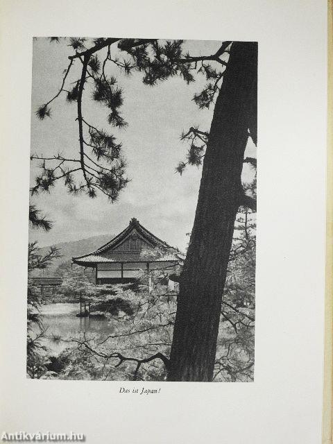 Die stählerne Blume