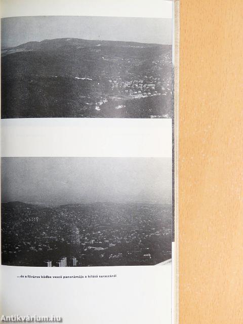 Budai-hegység