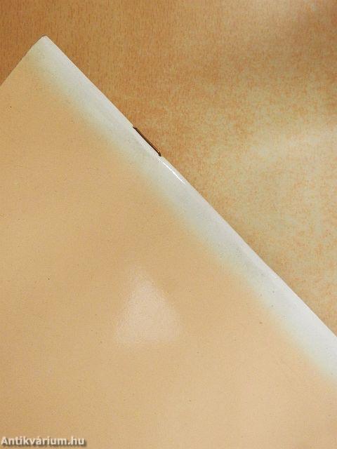 Nyelvünk állapota, anyanyelvi műveltségünk helyzete és feladataink