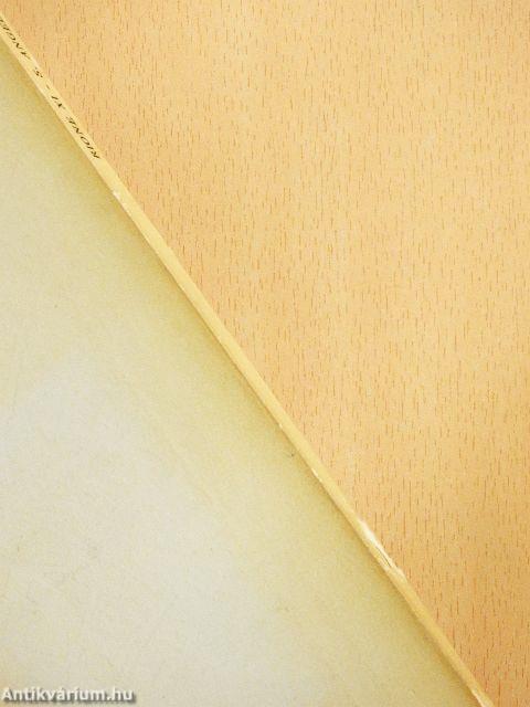 Guide Rionali di Roma - Rione XI - S. Angelo