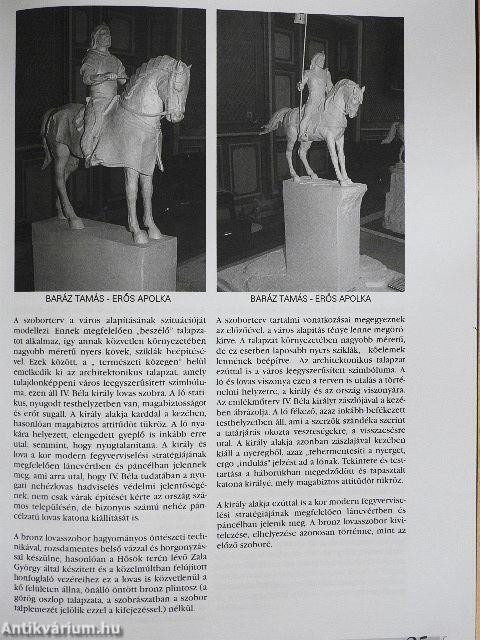 Szeged 2010. (nem teljes évfolyam)