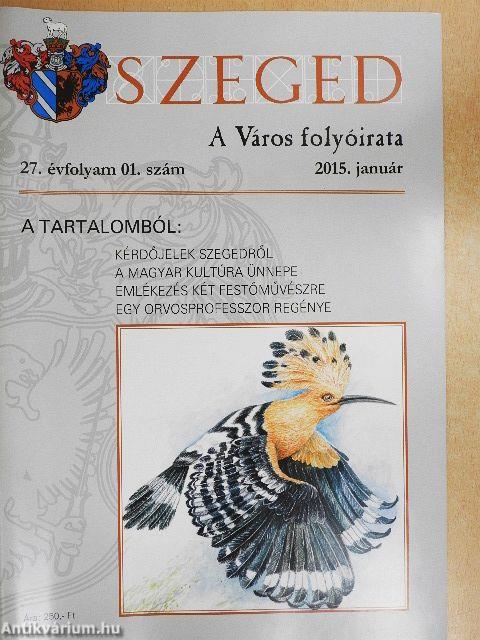 Szeged 2015. január-december