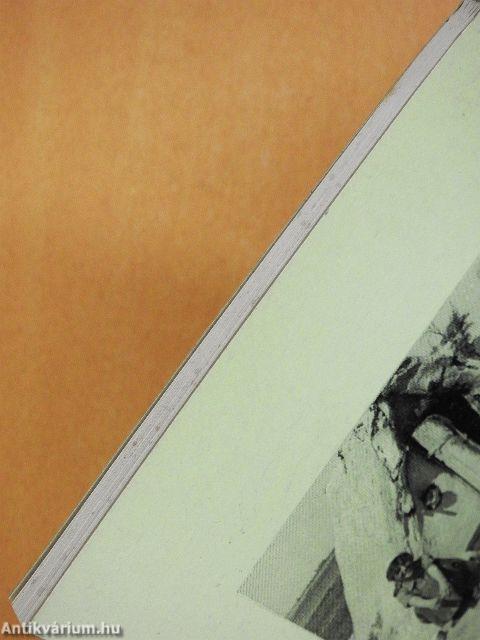 Kőkori cigánytelep a szocializmus virágkorában