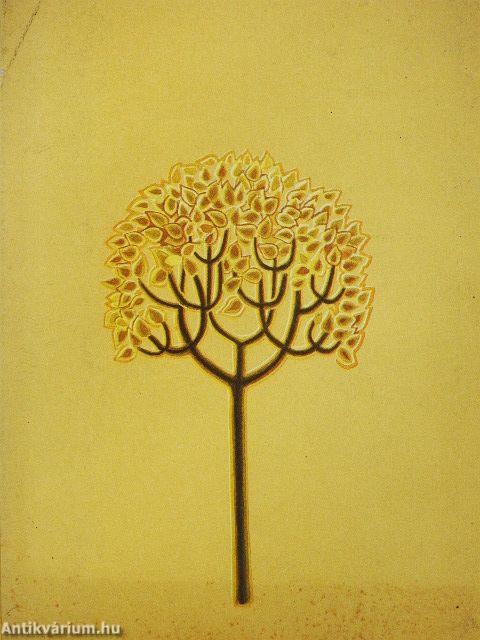 A csodakút tündére