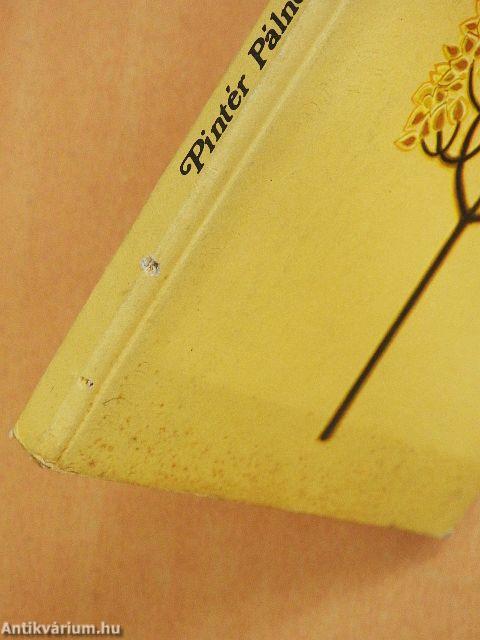 A csodakút tündére