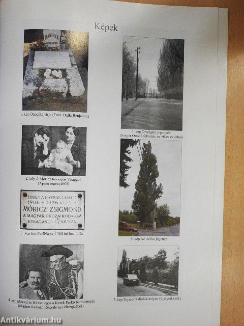 A leányfalui Móricz ház és lakói