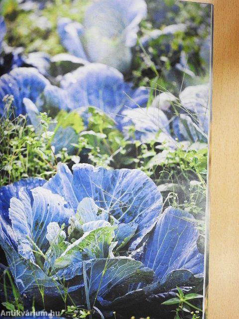 Útmutató az agrárkörnyezeti értékelő "Zöld-pont" rendszerek használatához