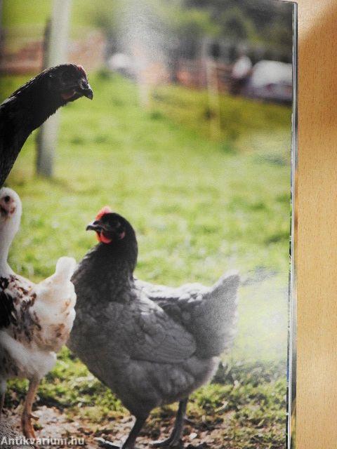 Útmutató az agrárkörnyezeti értékelő "Zöld-pont" rendszerek használatához