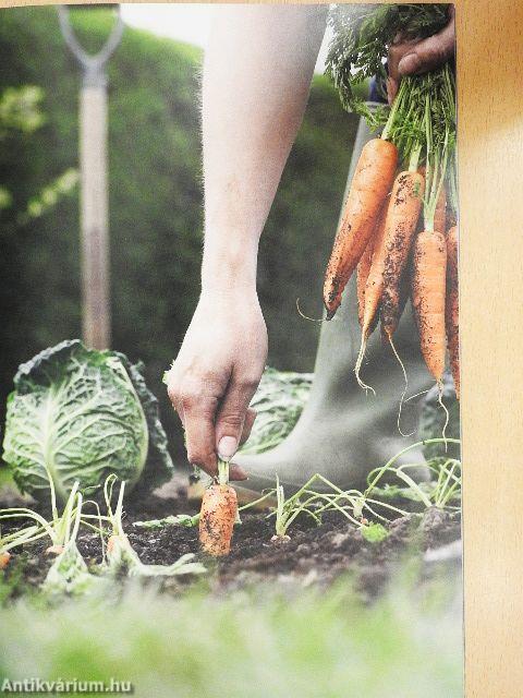 Útmutató az agrárkörnyezeti értékelő "Zöld-pont" rendszerek használatához