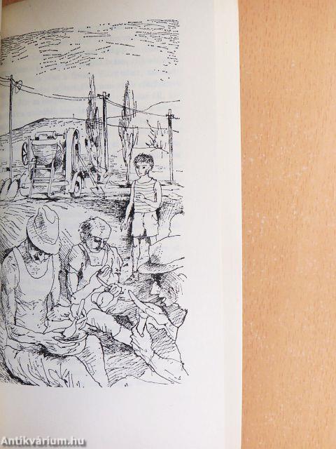 Emlékezz a vadrucára