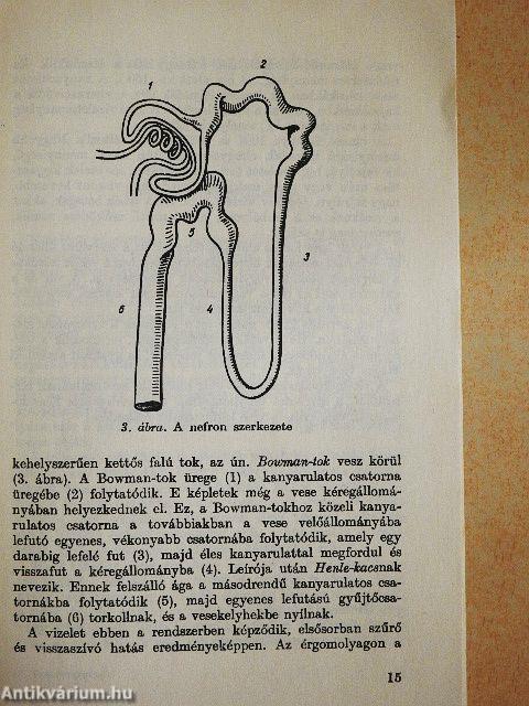 Vesebetegségről vesebetegeknek