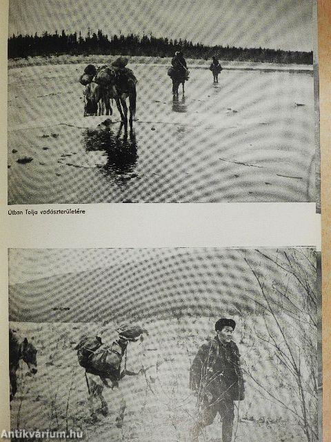 A tajgán vadásztam