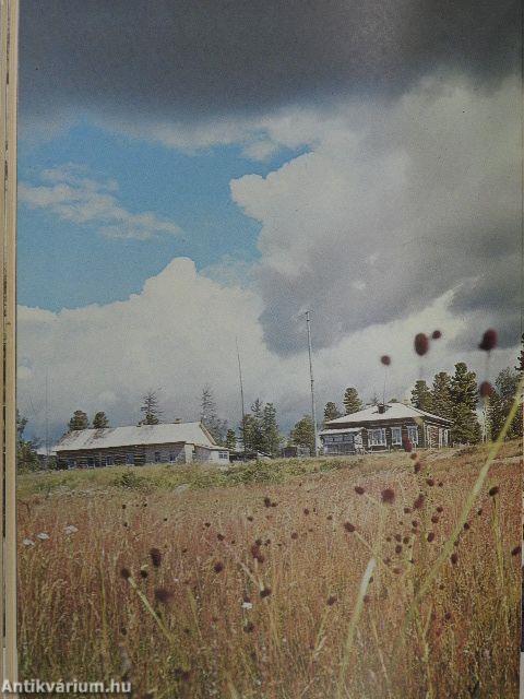 A tajgán vadásztam