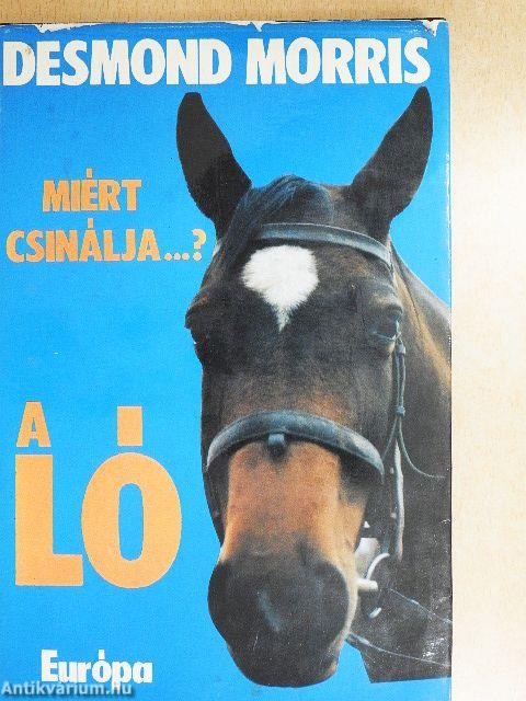 Miért csinálja...? A ló