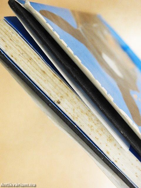 Miért csinálja...? A ló