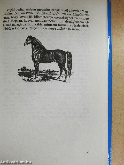 Miért csinálja...? A ló