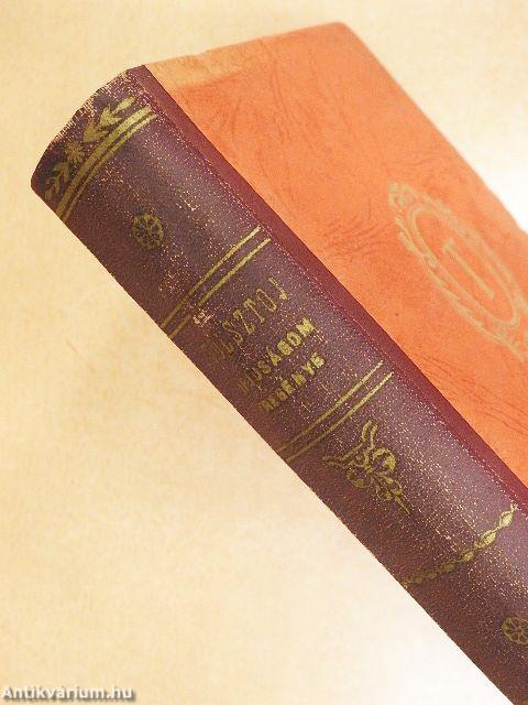 Ifjuságom regénye I-III./A sötétség hatalma/Ez az oka mindennek