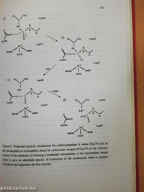 Computational Approaches to Biochemical Reactivity