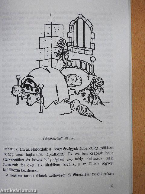 Teknősök a lakásban és a kertben