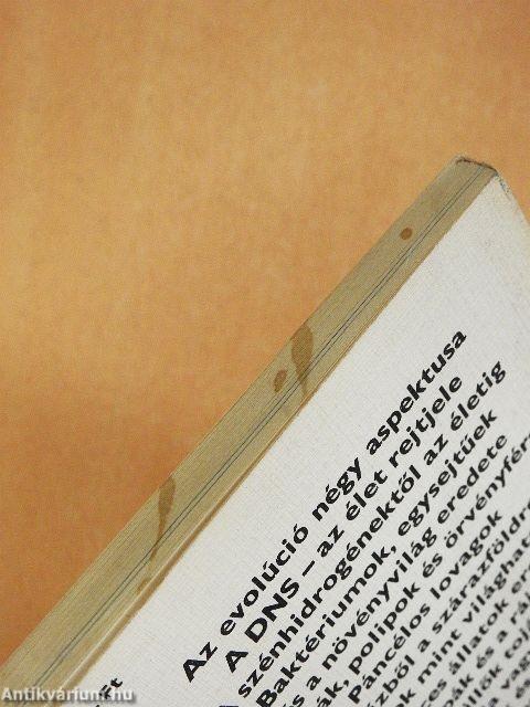 A négymilliárd éves élet