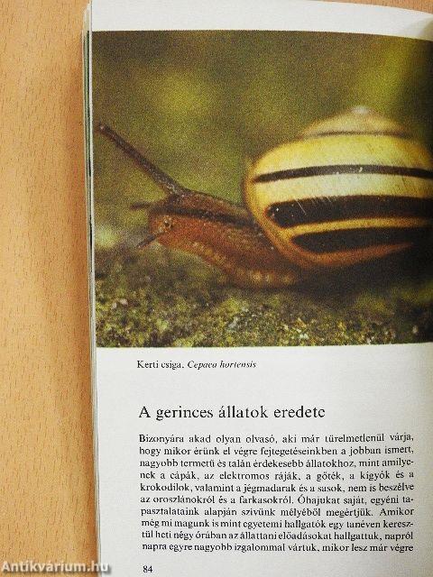 A négymilliárd éves élet