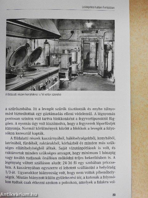 Román véderő Magyarország ellen