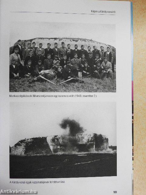 Román véderő Magyarország ellen