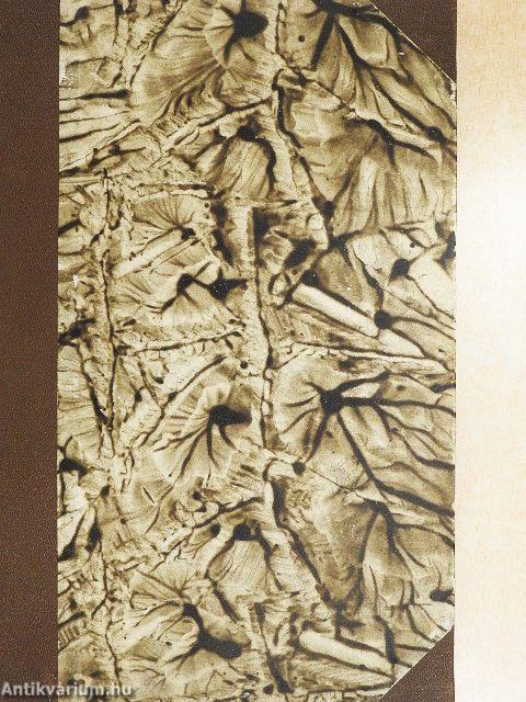 Kereskedelmi ismeretek