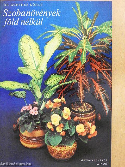Szobanövények föld nélkül