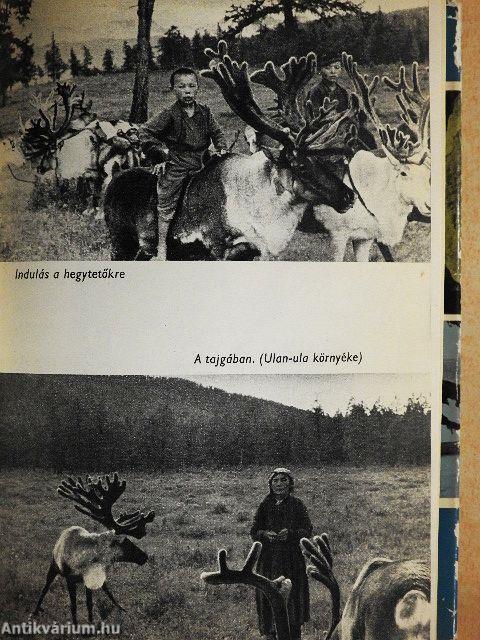 Régészeti kalandozások