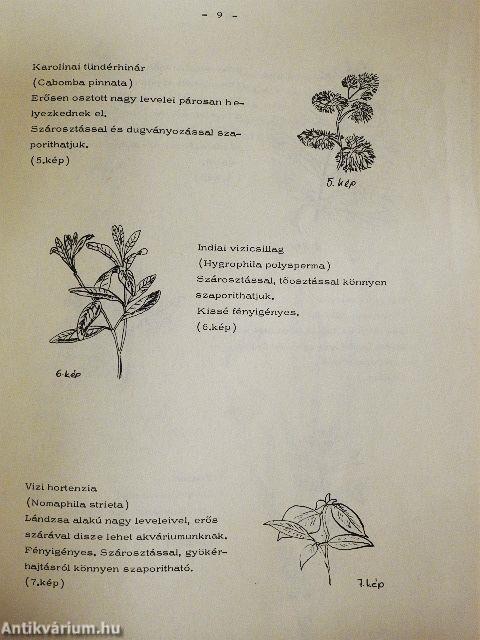 Akvarisztikai tájékoztató