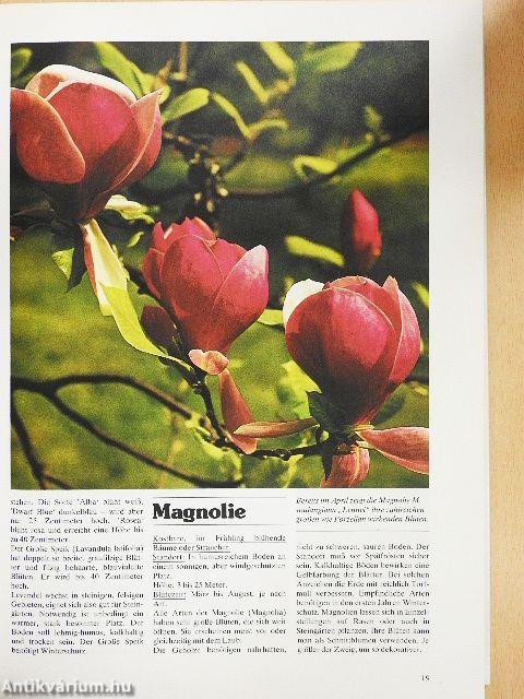 Das Große Blumen- und Pflanzenbuch für Haus und Garten