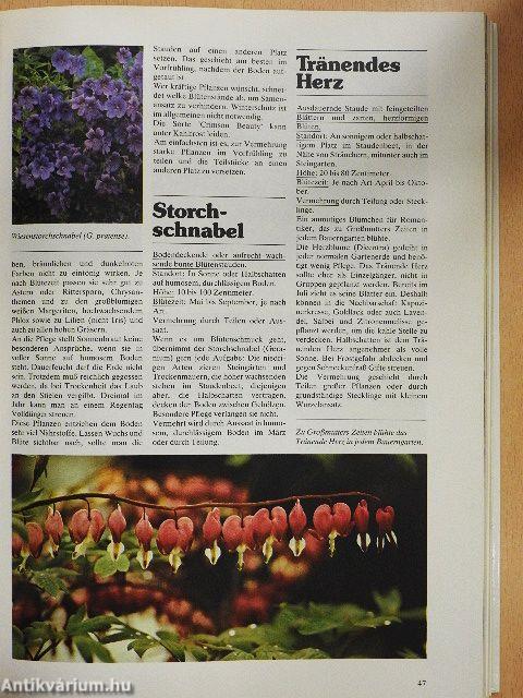 Das Große Blumen- und Pflanzenbuch für Haus und Garten