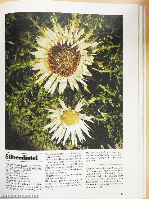 Das Große Blumen- und Pflanzenbuch für Haus und Garten