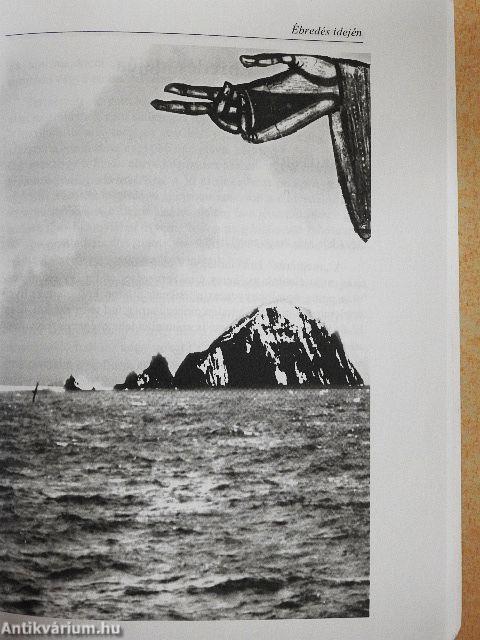 A szelídség kötelékei