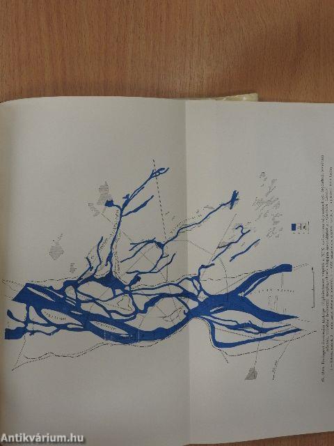 A magyarországi Duna-völgy kialakulása és felszínalaktana