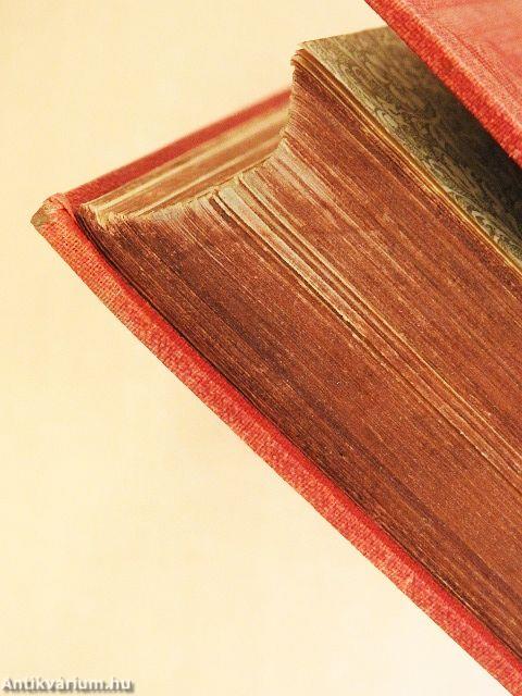 Hód-mező-vásárhely története I.