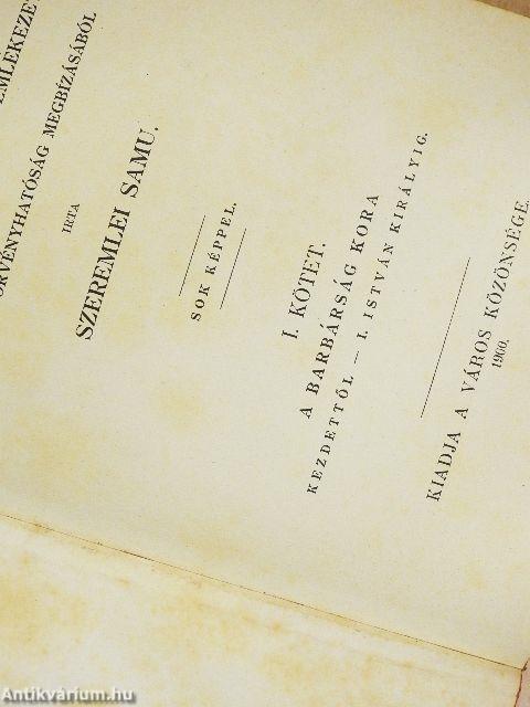 Hód-mező-vásárhely története I.