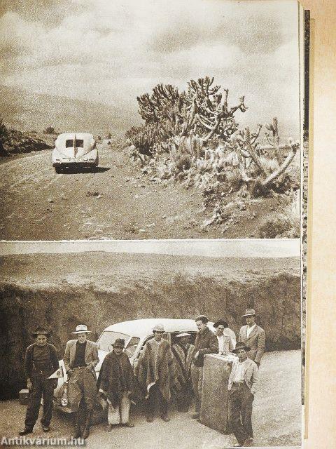 A fejvadászok földjén