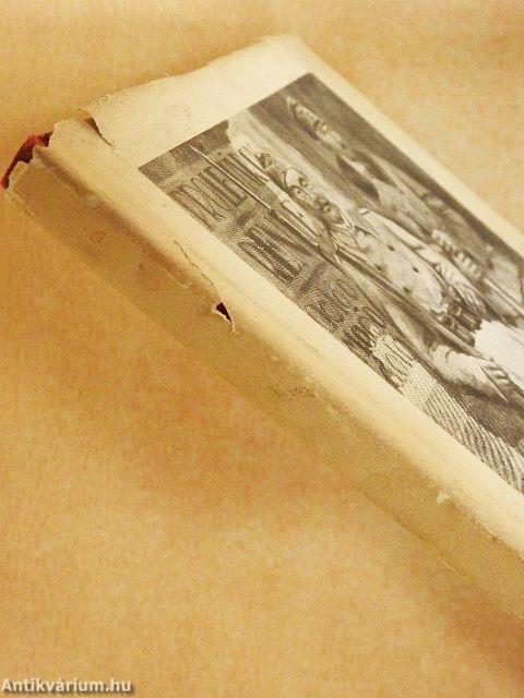 A Tanácsköztársaság szolgálatában