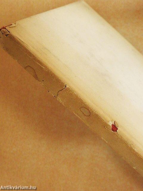 A Tanácsköztársaság szolgálatában