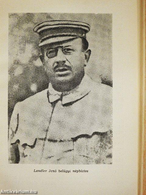 A Tanácsköztársaság szolgálatában