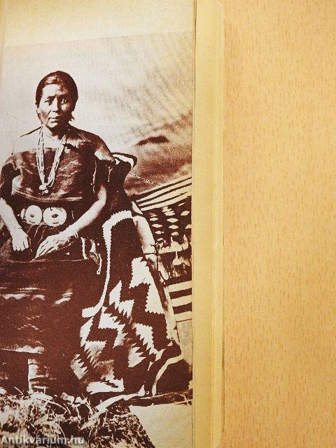 Bury my Heart at Wounded Knee