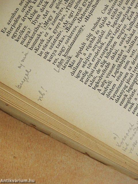 Beszélgetések a népzenéről