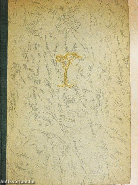 Bűn és bűnhődés