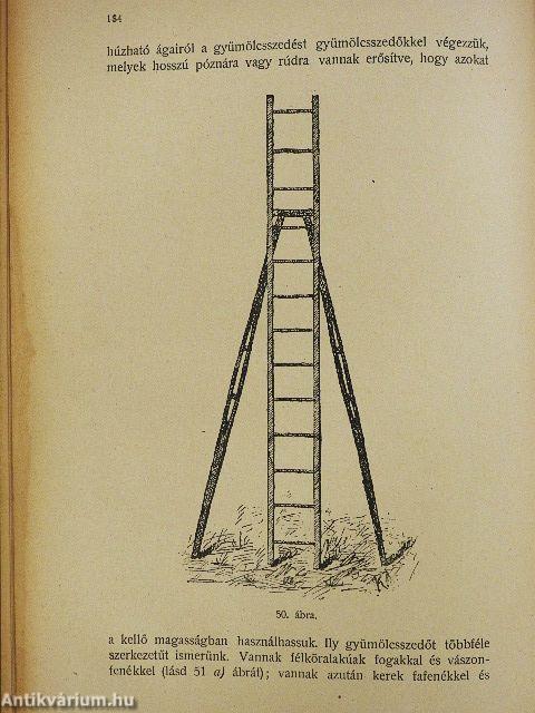 A mezőgazdasági gyümölcstermelés és értékesités