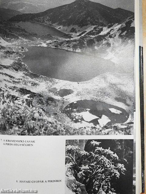 Bulgária földrajza