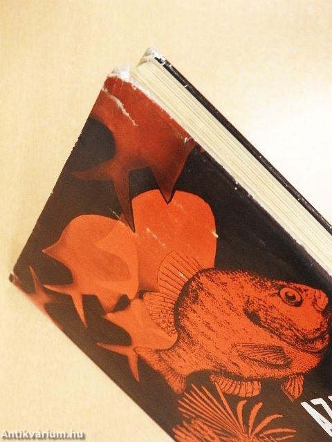 Az ezer atoll világa