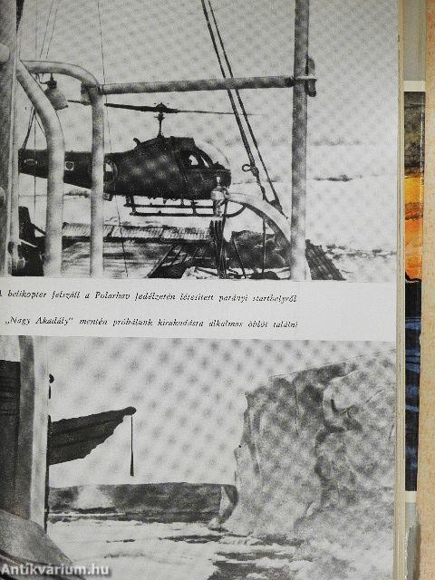 Újra az Antarktiszon